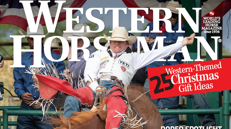 Western Horseman magazine november cover snippet