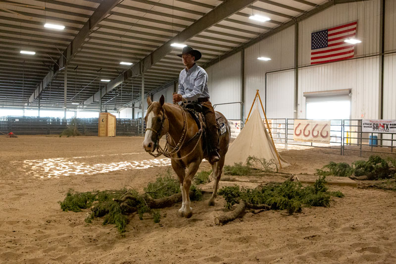 Ben Baldus piloting Seven S Woodrow at the 2019 Stock Horse of Texas World Championships