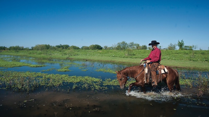horse crossing flood plain which can be hard on horses hooves