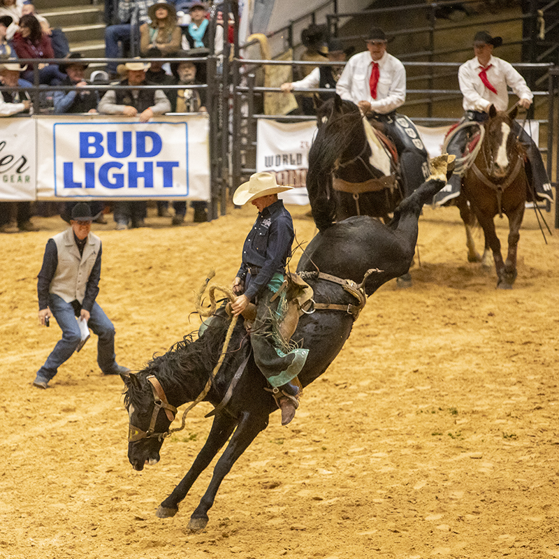 Justin Peterson broke an ranch bronc riding arena record in Amarillo.