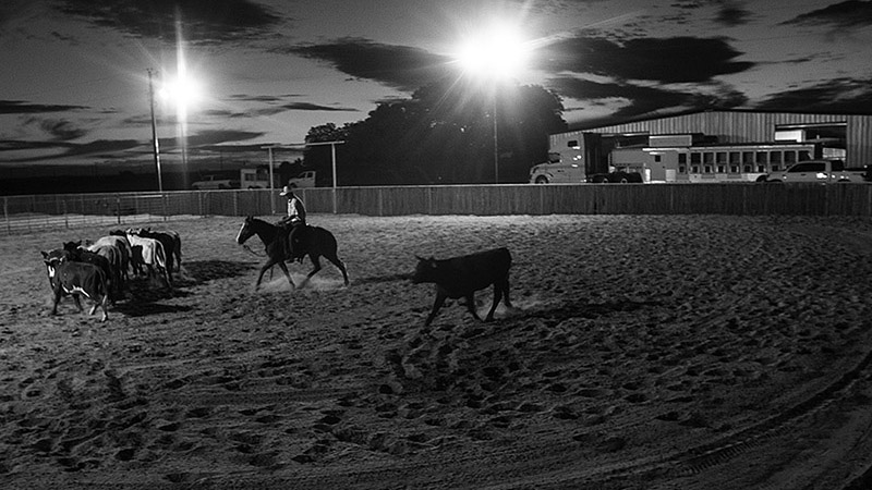 A well-planned horse facility makes horse management easier.