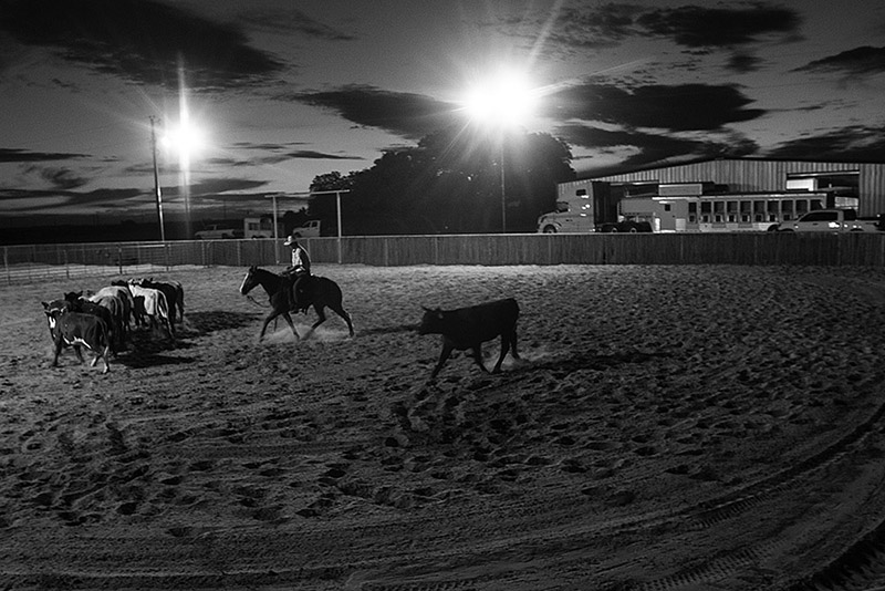 A well-designed horse property takes a lot of thought of planning.