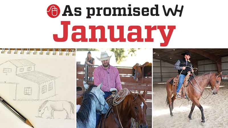 January 2020 promised content graphic