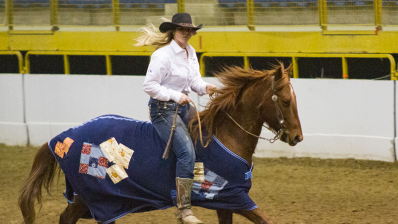 Rebecca Johnson and her adopted mare, Minnie Moo, won the open division at the 2019 Battle on the Rockies competition for adopted horses held in Denver, Colorado.