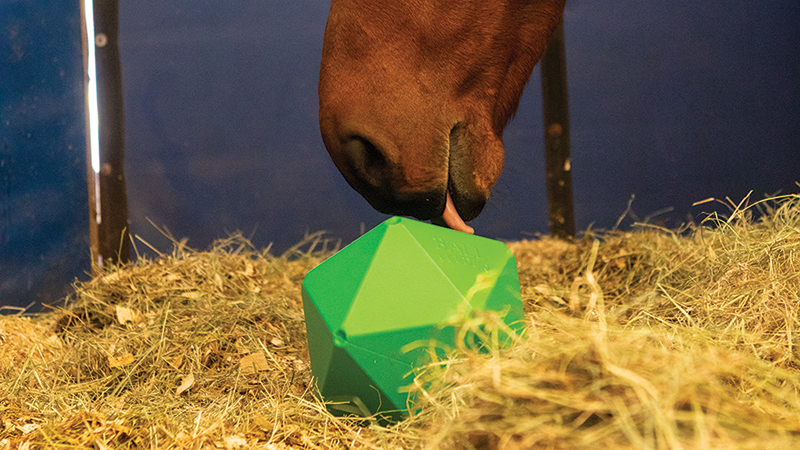 Providing toys in your horse's stall can alleviate stress and boredom.