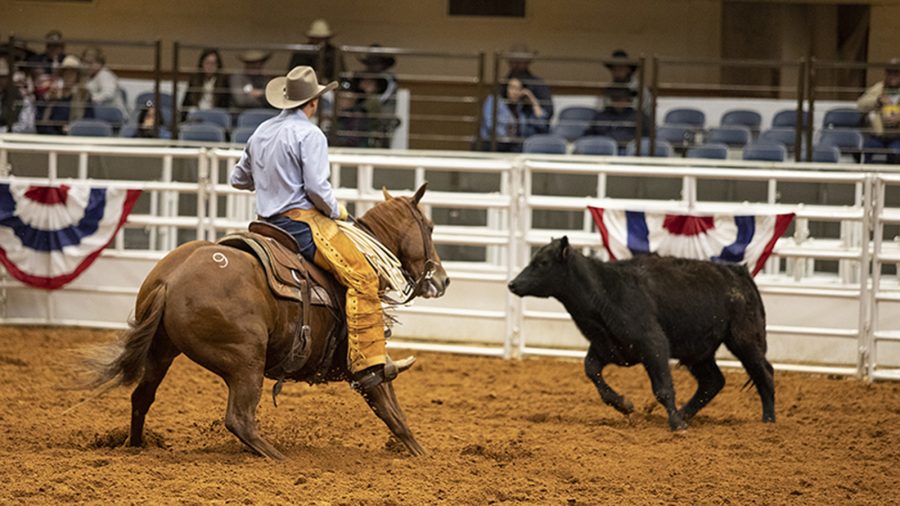 At the FWSSR, Bonds Ranch gelding "Steve" impresses with rider Colby Hunt.