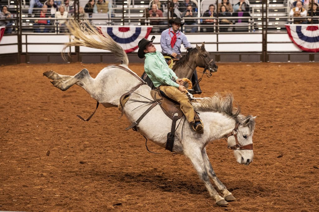 cowboy riding grey ranch bronc