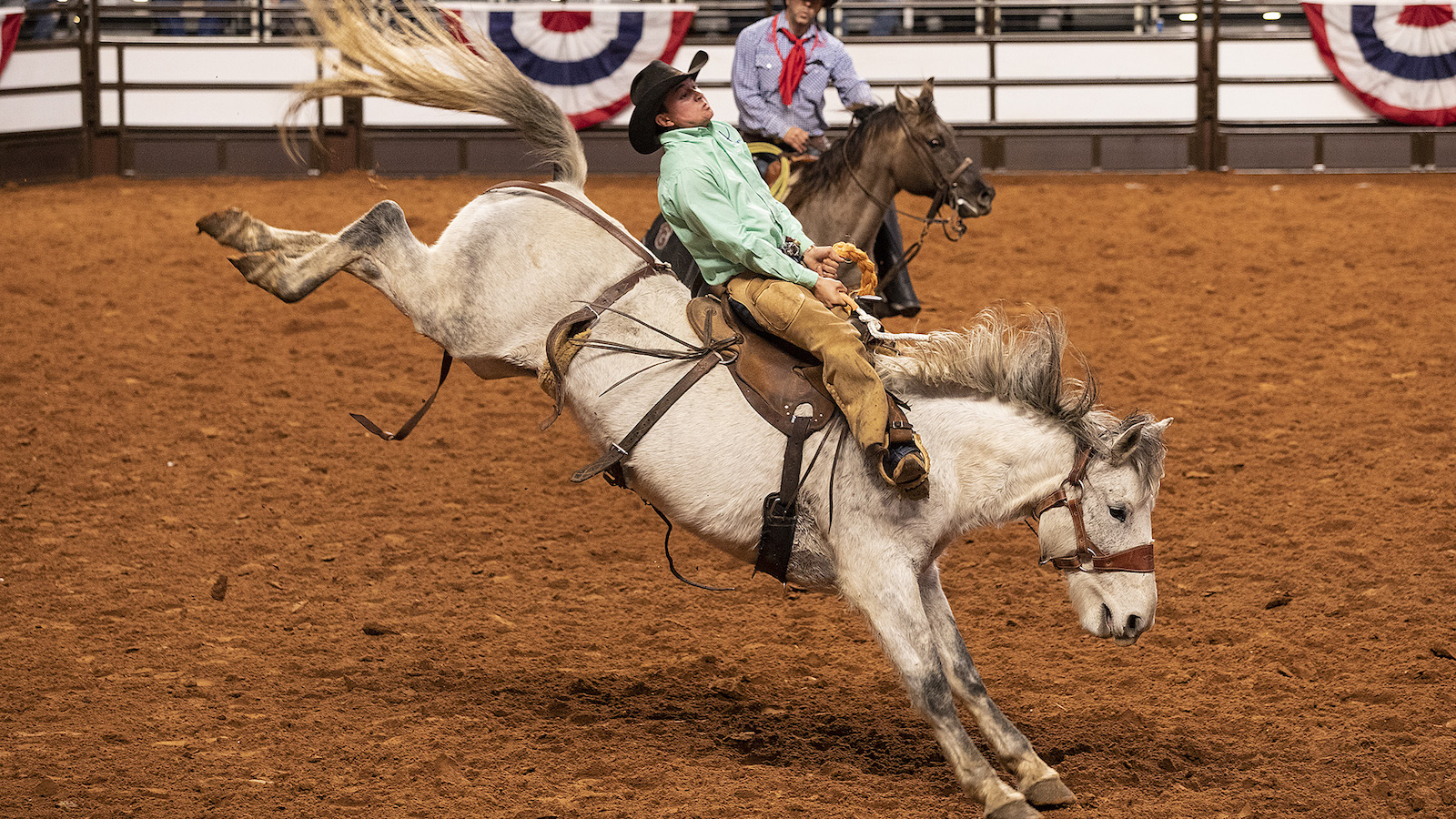 Zane Davis riding a ranch bronc at the Fort Worth Stock Show & Rodeo