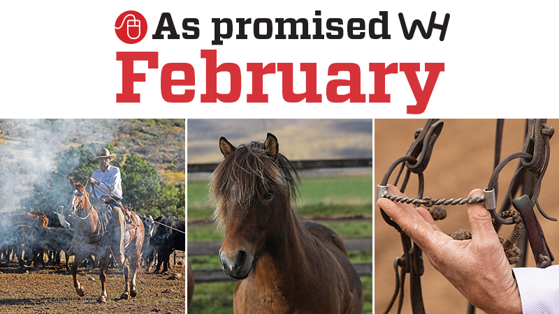 February 2020 western horseman as promised