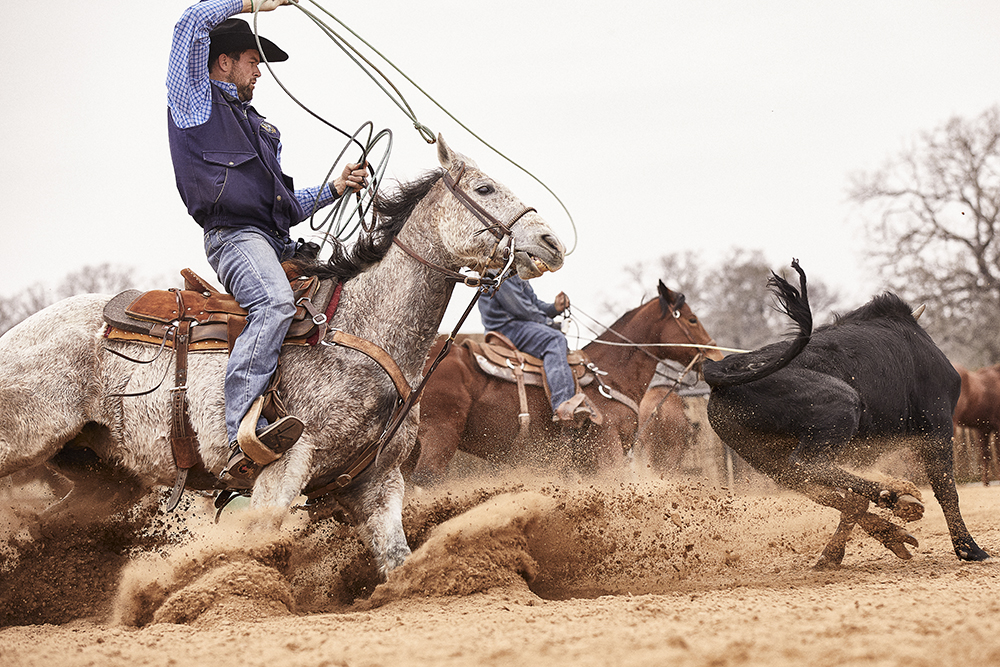 Paul Eaves roping