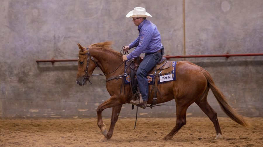 Brad Lund shows his reined cow horses and rope horses in ranch riding.