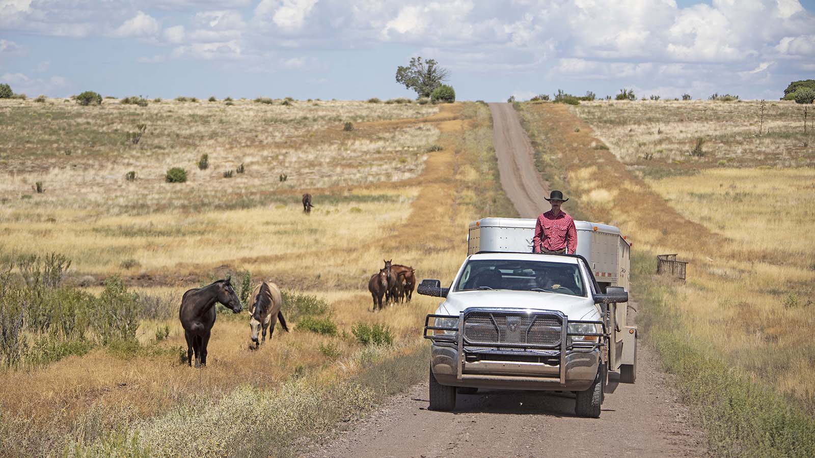 Cowboys driving on O RO Ranch