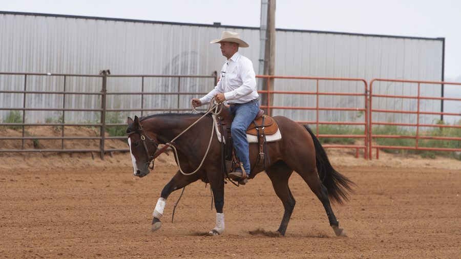 Trevor Carter uses a fenceline or long side of an arena to teach flying lead changes.