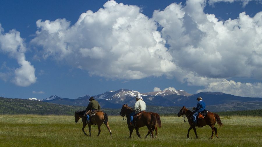 horse back riding on a Western vacation