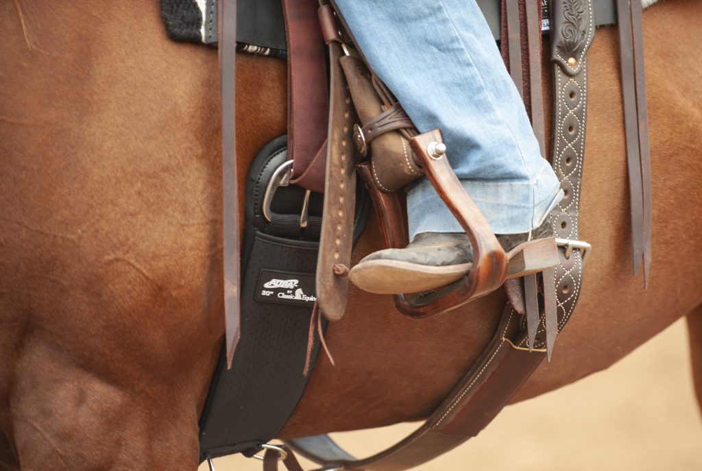 Classic Equine Aura Cinch