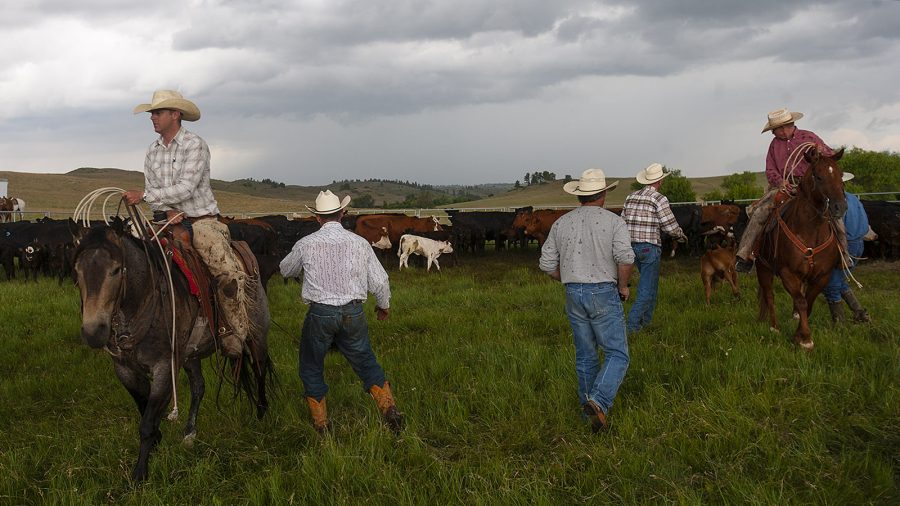 Western Horseman introduces Bob Welch as a new blogger.