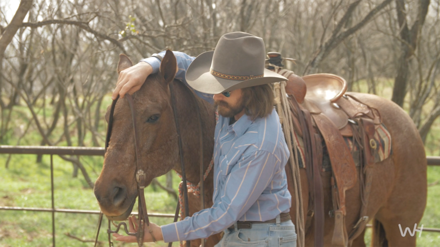 Super puncher Dale Brisby talks about bits and how to put a bit in a horse's mouth.