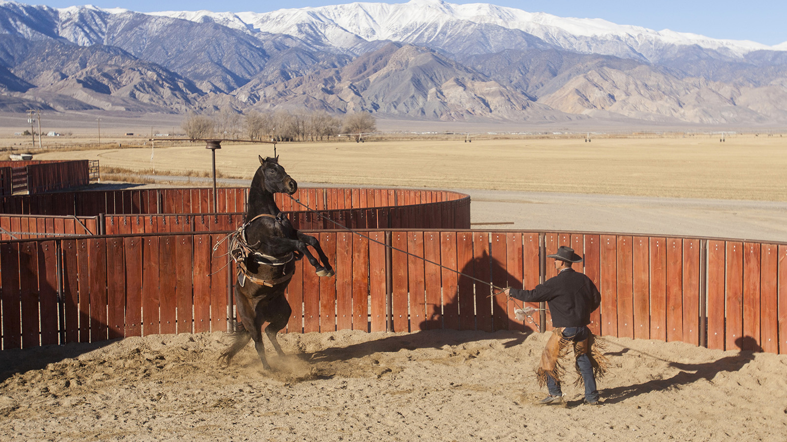 Nick Dowers ropes a horse.