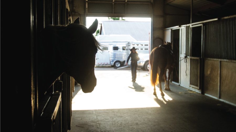 horse barn photo used for western horseman's equine health & nutrition guide