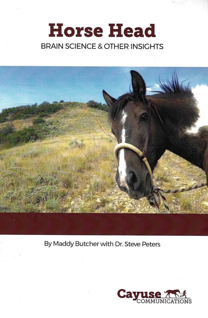 Horse Head Brain Science and Other Insights book offers a look at ideas from the horse's point of view.