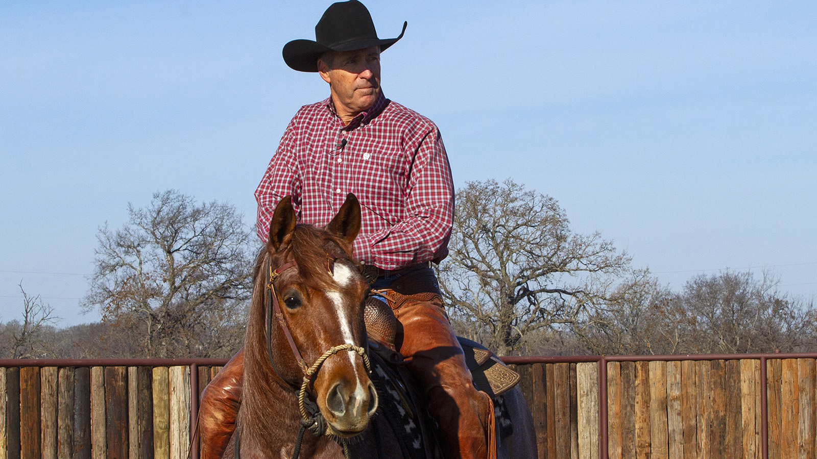 A loping hackamore is a greqt tool for a horse person to ride in.
