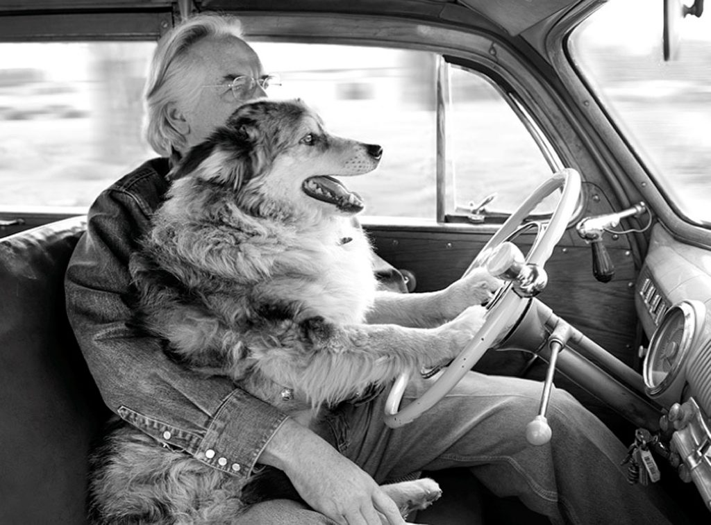 Photographer Jim Stuart drives in a car with his dog, Shorty.