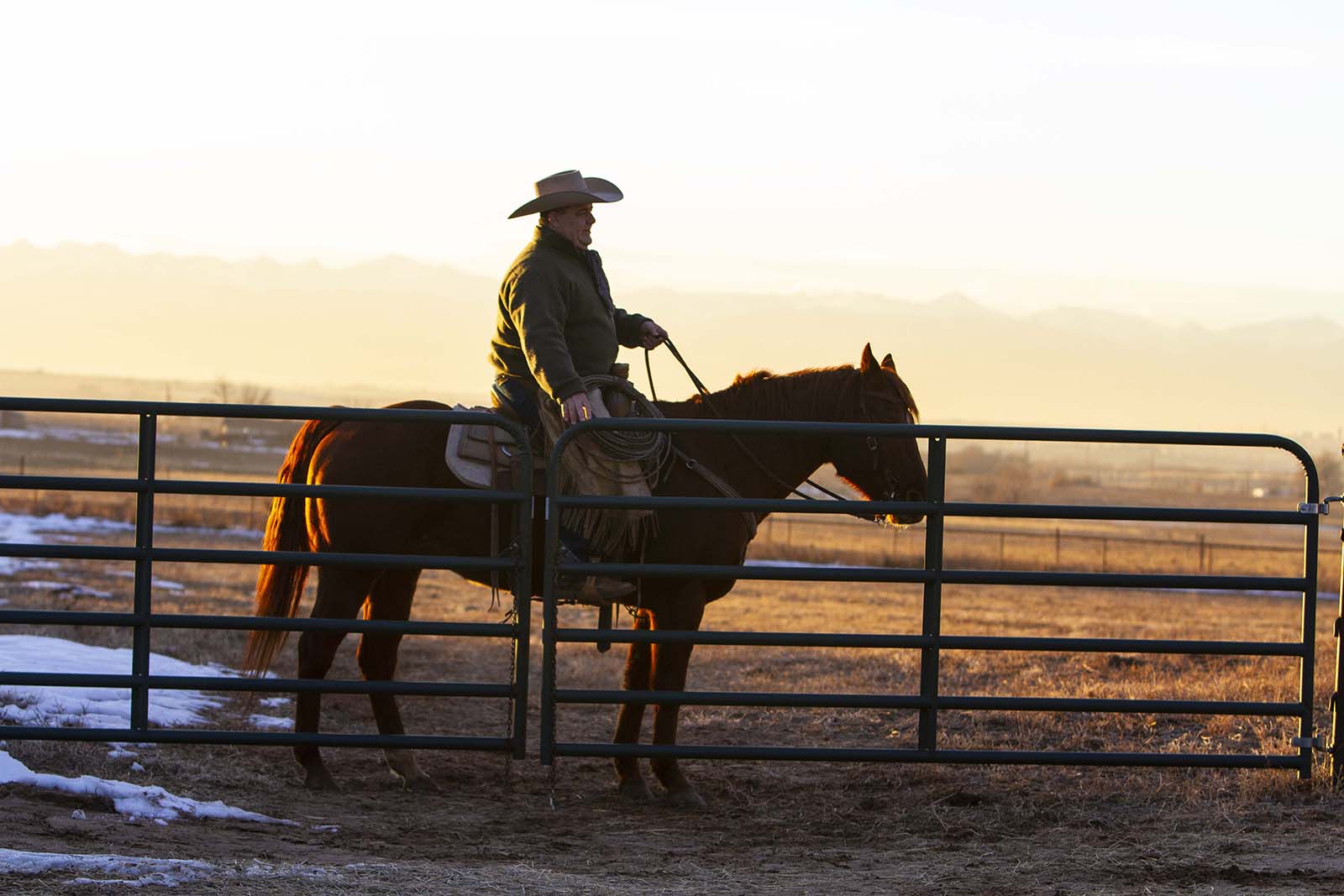 Mike Brashear opens a gate horseback in Fort Lupton, Colorado.