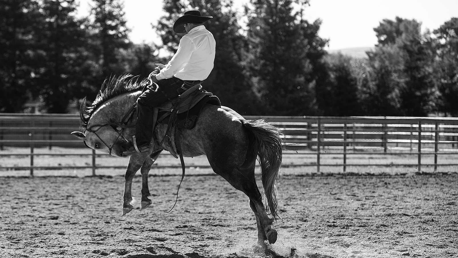 Horsemen and the Western industry can weather the coronavirus storm.