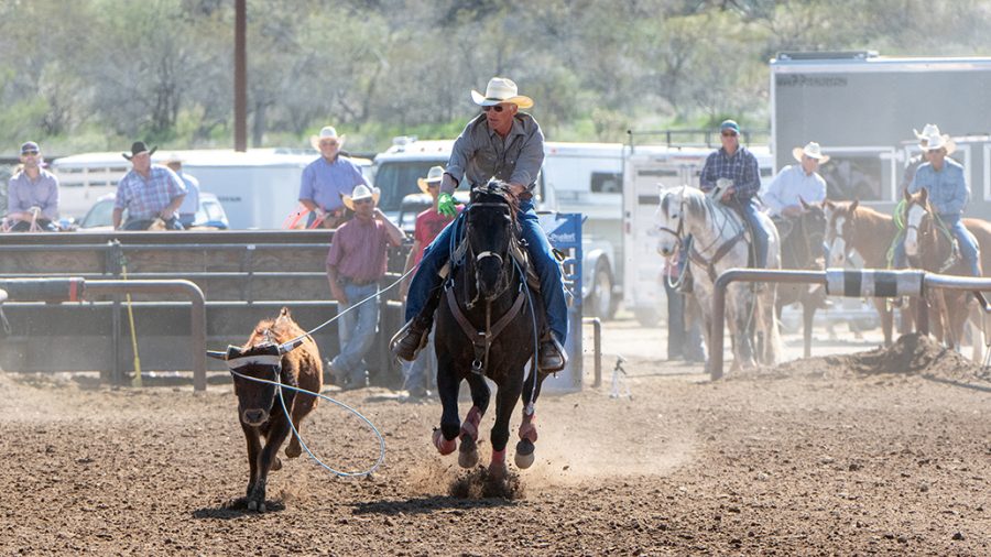 James Cotteral ropes at Sunshine Classic