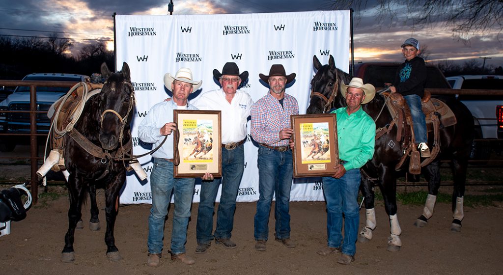 The top head and heel horses at the Western Horseman Sunshine Classic.