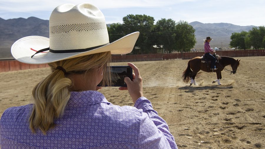 Virtual riding lessons are a great way to improve horsemanship.