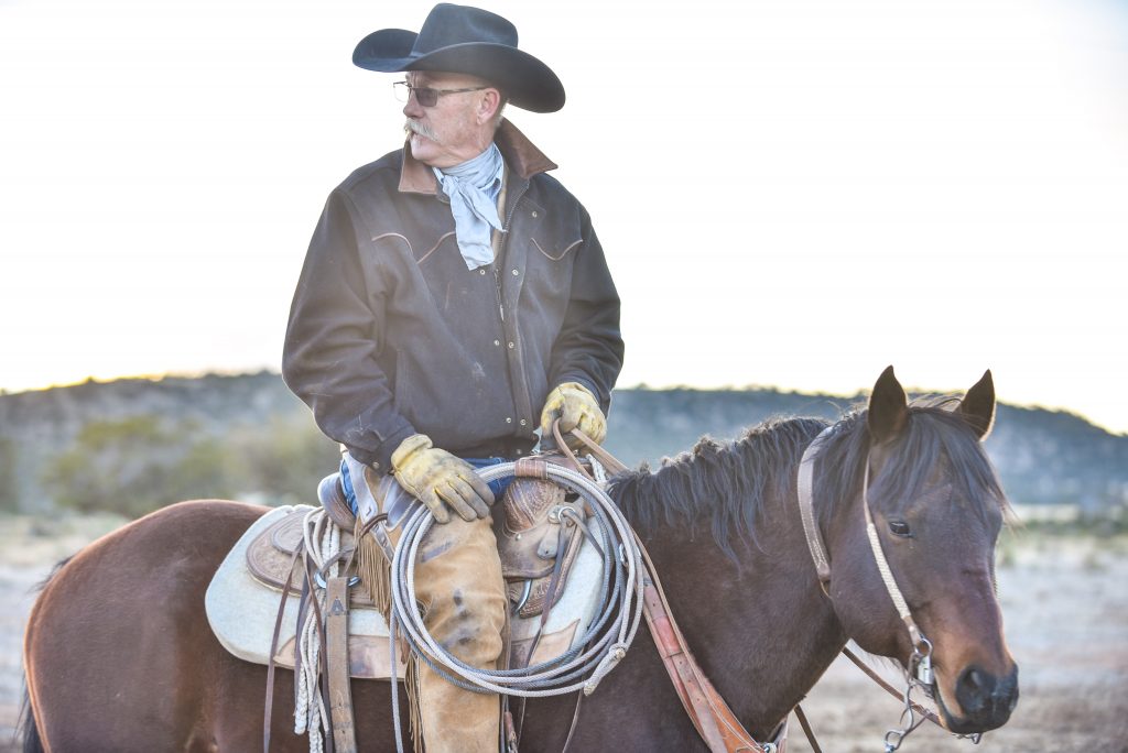 5 Star equine products