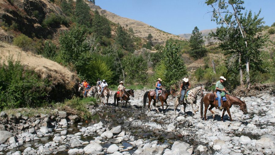 The Appaloosa Horse Club cancels its annual Chief Joseph Trail Ride.
