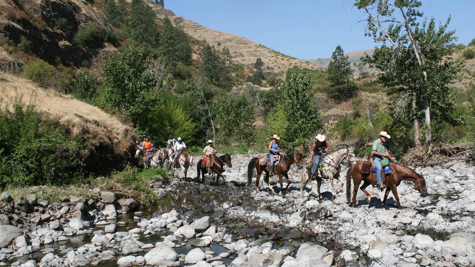 The Appaloosa Horse Club cancels its annual Chief Joseph Trail Ride.