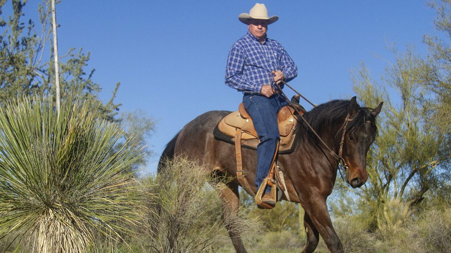 Mike Kevil fishes horseback.