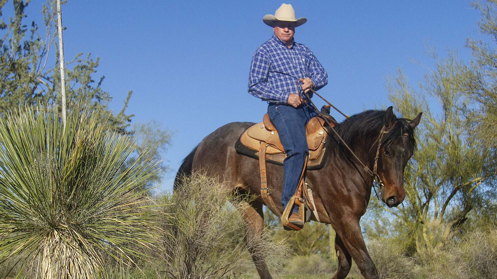 Mike Kevil fishes horseback.