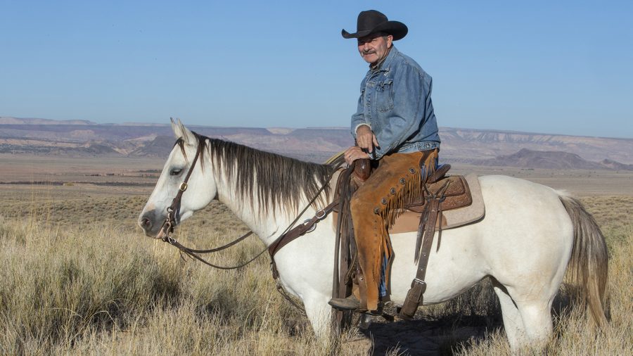 Horseman Mike Major teaches a young horse to lead.
