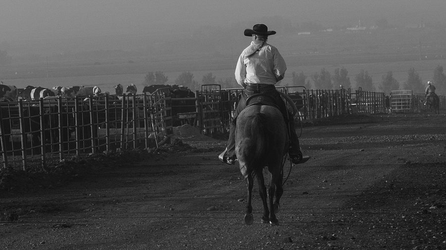 Smells like fly spray on a horse or old gas station coffee bring people back to their senses.