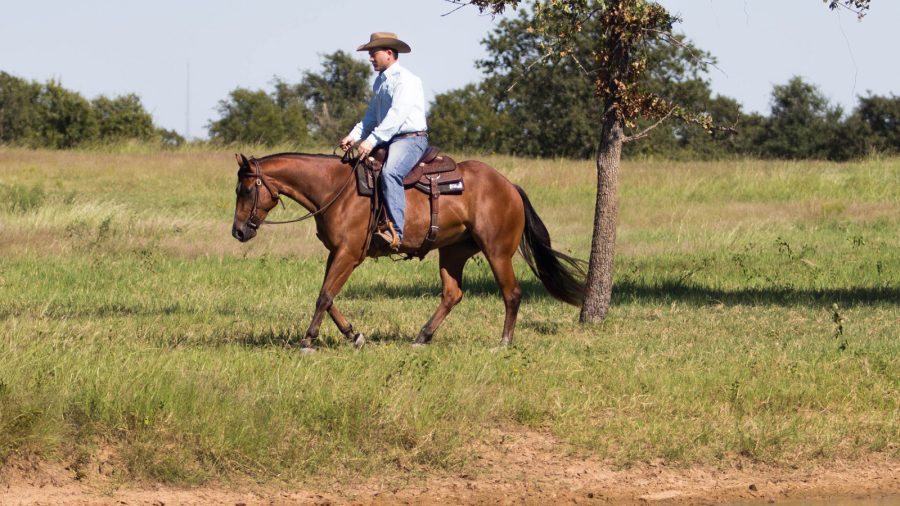 Reining trainer Tell Edgmon rides his horses outside.