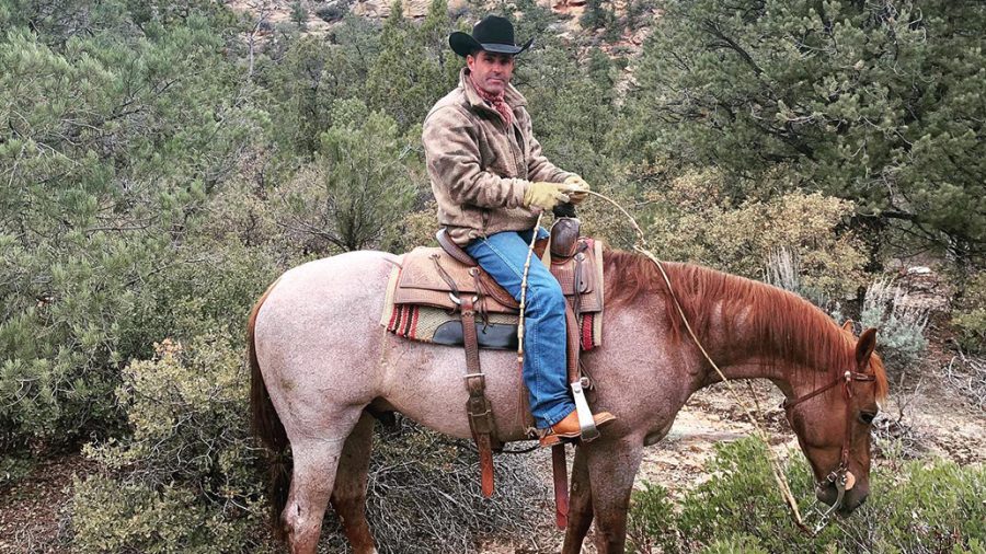 Brady Weavers puts his show horses to work branding calves.