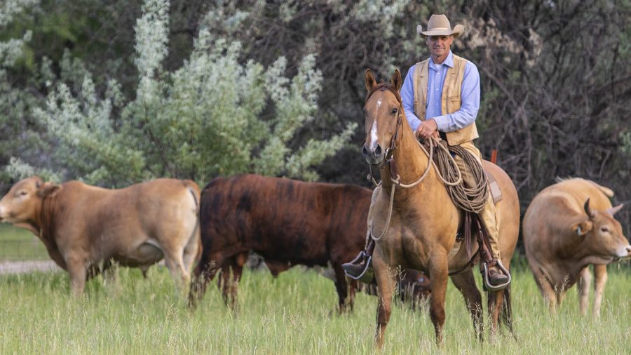 Horseman Curt Pate stays busy at home riding and reading.