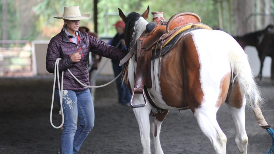 Rancher and clinician Trina Morris shares a tip for orally medicating horses.