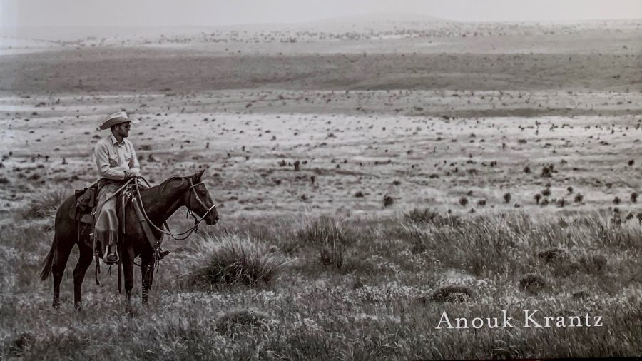 The book West: The American Cowboy features photographs of ranches and rodeos.