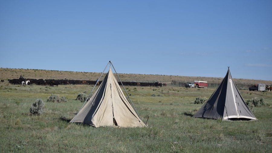 cowboy camp with Jolyn Young running the cook wagon