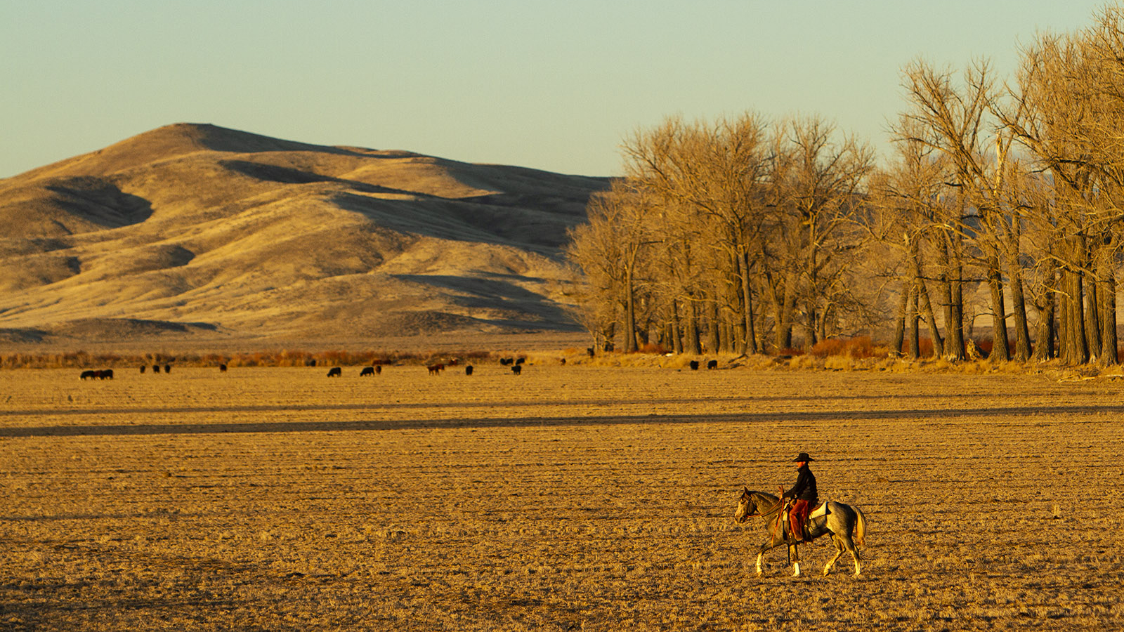 Frank Dominguez rides on the T Lazy S ranch.