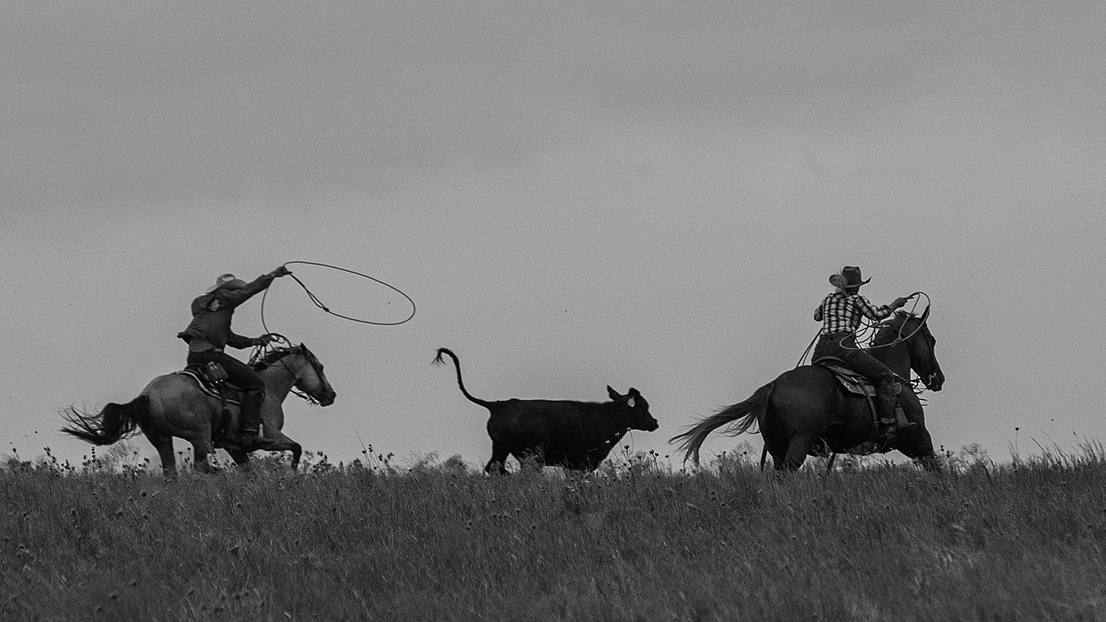 horse people roping in pasture appreciating the little things