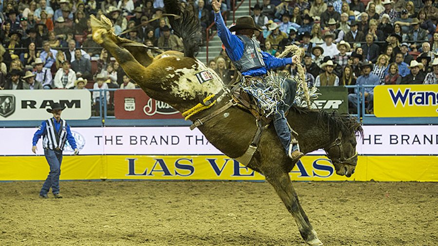 https://dev02.westernhorseman.com/mercantile/product-spotlight/ready-to-rodeo/