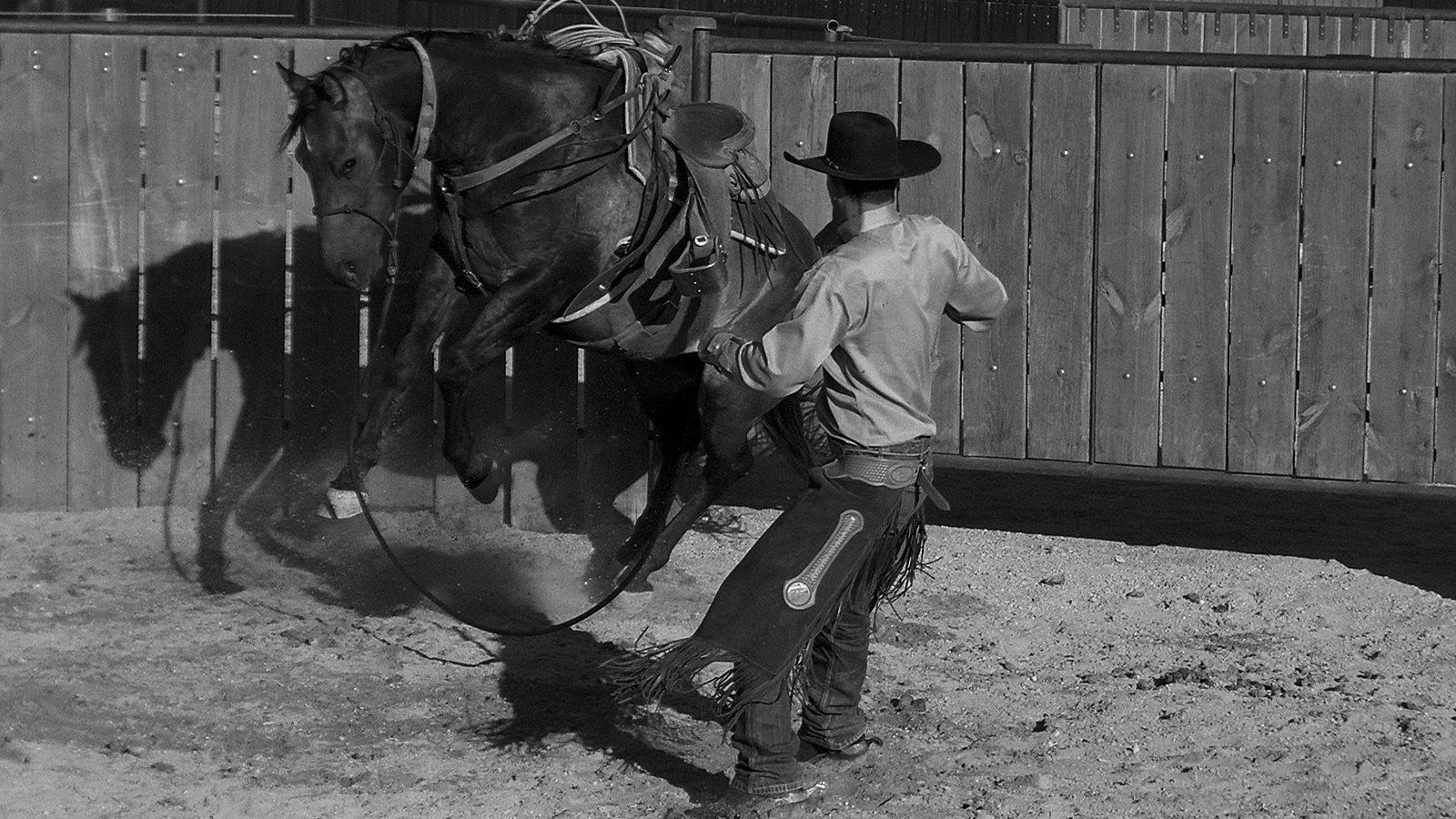 Signs of a tight horse include bucking.