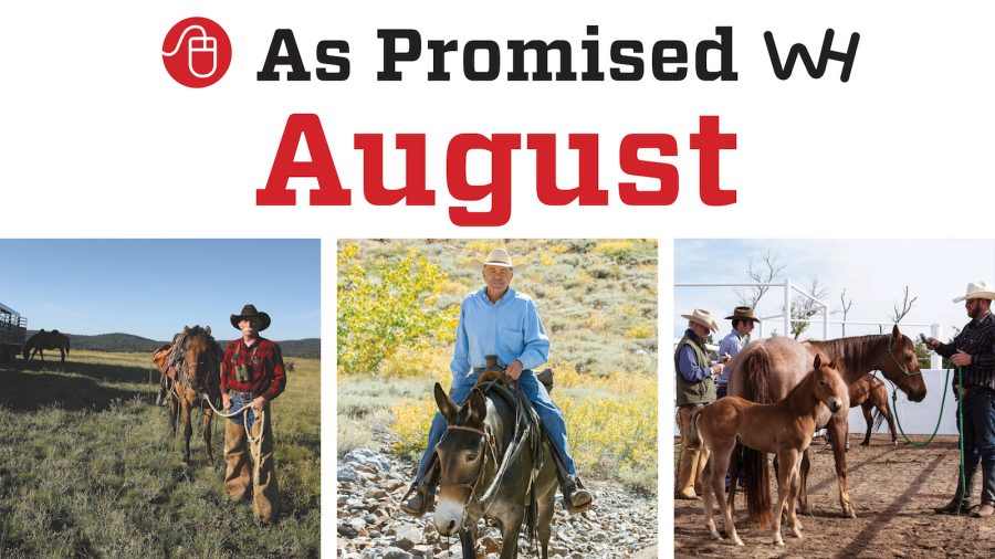 promised content august 2020 western horseman magazine