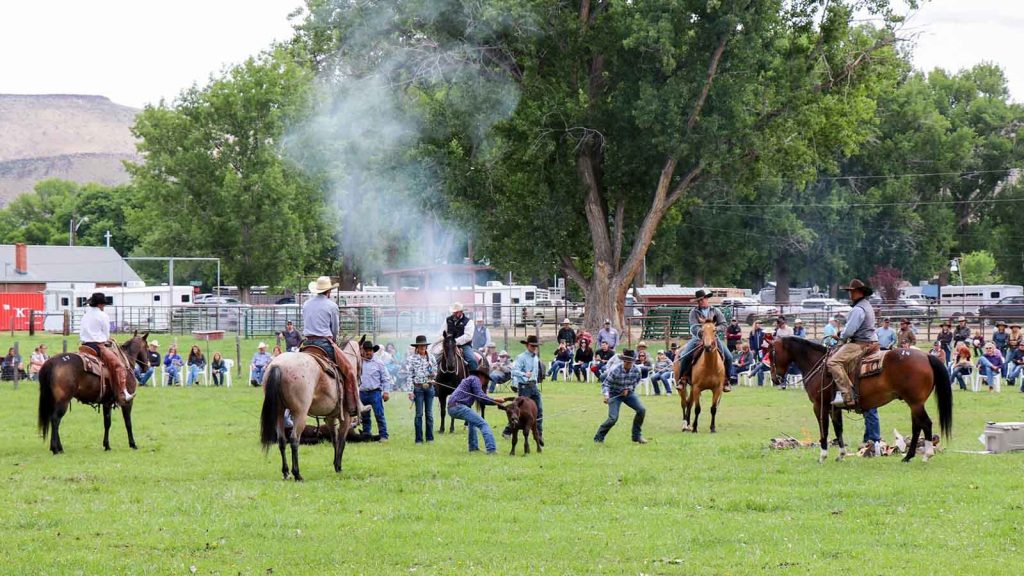 Branding at Ranchers Horse Sale